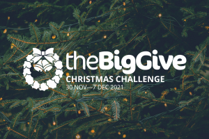 The Big Give Christmas Challenge: help care leavers achieve their hopes and dreams!